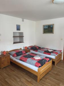 Postel nebo postele na pokoji v ubytování Ubytování Orlík
