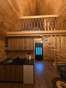 a kitchen with wooden walls and a wooden ceiling at Green Valley in Žabljak