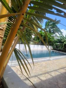 Φωτογραφία από το άλμπουμ του Jumba paradise σε Mtwapa