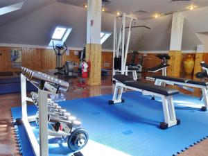 Fitness centrum a/nebo fitness zařízení v ubytování Hotel Excelsior Magenta