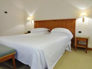 Postel nebo postele na pokoji v ubytování Hotel Excelsior Magenta