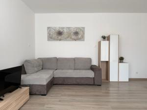 ein Wohnzimmer mit Sofa und Fernseher in der Unterkunft F25 Apartman in Pécs