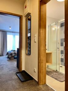 Kúpeľňa v ubytovaní Apartmány na sjezdovce Dolní Morava