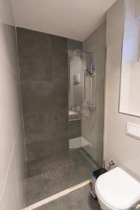 a bathroom with a shower and a toilet at Modern Bazaar Apartment in Gjakove