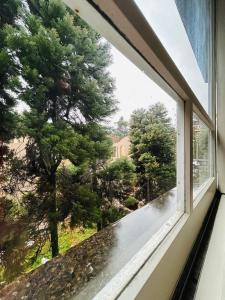 Fotografie z fotogalerie ubytování Solar dos Alpes, apto com Lareira em Canela v destinaci Canela