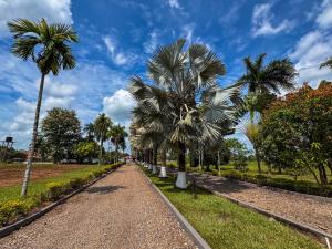 a dirt road with palm trees on the side at Teka Hotel Villavicencio in Apiay