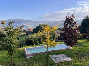 a swimming pool in the middle of a field with trees at Douro Wellspring in Santa Marinha do Zêzere
