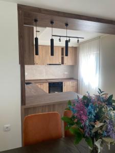 Kuchyň nebo kuchyňský kout v ubytování Apartmani Radmanovic