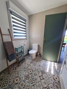 a bathroom with a toilet and a green door at Dépendance entre CAEN et la mer in Lasson +12 photos