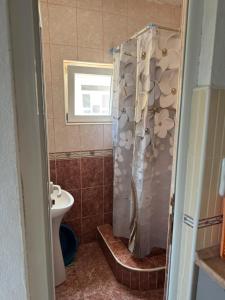 a bathroom with a shower and a toilet at Apartments Daris in Ulcinj