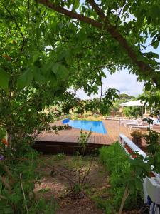 a swimming pool in a yard with trees at The Blue House Valley in Grândola