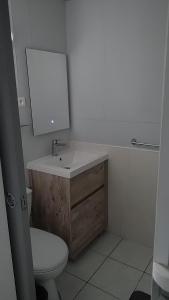 un bagno con lavandino, WC e specchio di Chez Pascal et Claudia a Kumak Altre 29 foto