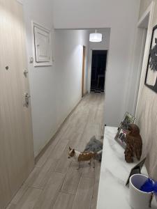 Gambar di galeri bagi HP Rooms di Algés
