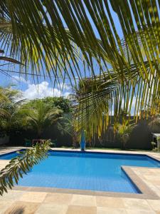 een zwembad met een palmboom ernaast bij SWEET HOME Águas Belas in Águas Belas