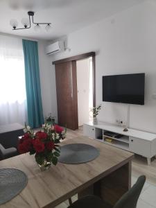 TV a/nebo společenská místnost v ubytování Apartman Simijonovic