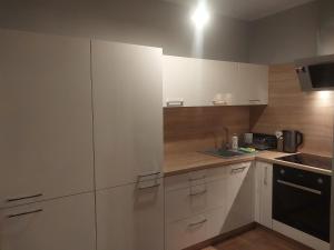 大谢尔皮亚DOMEK PRZY LESIE koło Sielpi的厨房配有白色橱柜和黑色电器