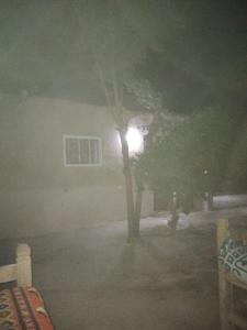 a tree in front of a house with a light at Gateway to the stars camp&restarant in Al Aqālitah