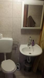 Koupelna v ubytování Gasthaus Rössle