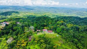 Phong cảnh thiên nhiên gần căn hộ