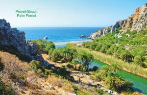 a view of a beach with palm trees and the ocean at Villa Irena in Agalianós