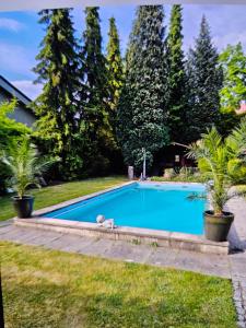 a swimming pool in the backyard of a house with palm trees at Hotel&Spa am Oppspring in Mülheim an der Ruhr