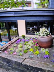 a flower garden in front of a building at Hotel&Spa am Oppspring in Mülheim an der Ruhr