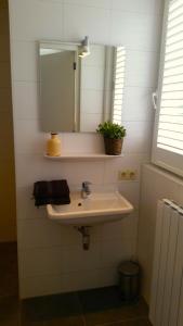 ein Bad mit einem Waschbecken und einem Spiegel in der Unterkunft B&B Duinroos De Koog - Texel in De Koog