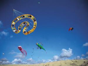 Hosté ubytování Seagull's Nest Modern Retreat