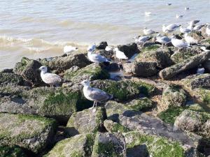 Natuurlandschap vlak bij het appartement