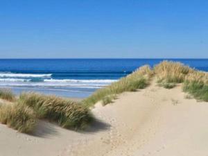 a couple of sand dunes with the ocean in the background at Apartment on Belgian Coast with Sea View in De Haan