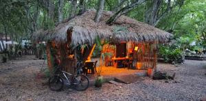 Zahrada ubytování ECOCAMPING JACAMAR