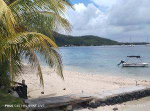 a boat in the water on a beach with a palm tree at Chambre d'hôtes chez Vetea in Fare