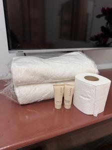 a couple of rolls of toilet paper on a counter at Comfy 2Single Beds Unit, with Wifi, Free Parking at Sonia's Island Stay in Virac