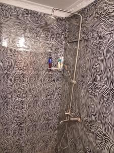 a shower in a bathroom with a black and white wallpaper at Patience Airport cottages in Boma la Ngombe +85 photos