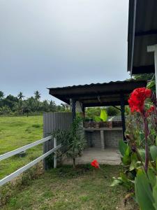 Taman di luar Tok Abah Cottage