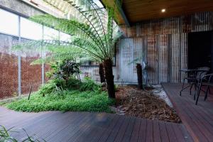 Bright Studio in Launceston CBD في Kings Park: فناء فيه نخلة وطاولة وكراسي