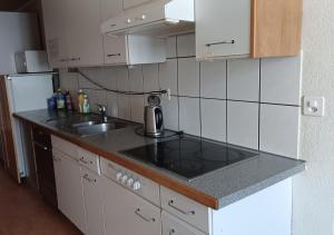 Kuchyň nebo kuchyňský kout v ubytování Gasthof Ochsen