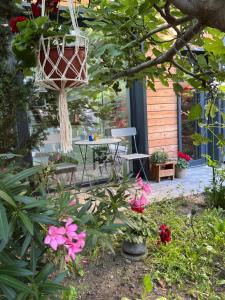 A garden outside Studio 27