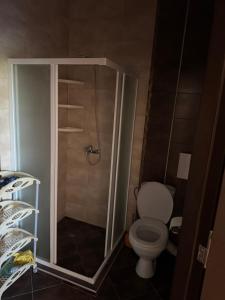 a small bathroom with a toilet and a shower at Центр солнечного берега in Sunny Beach +3 photos