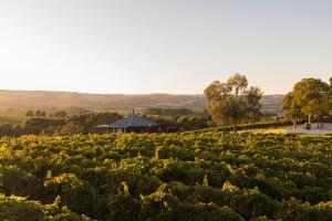 Photo de la galerie de l'établissement The Strand at The Vineyard McLaren Vale - King BR, Comp Minibar, Breakfast Prov, Fireplace, à Blewitts Springs 10 autres photos