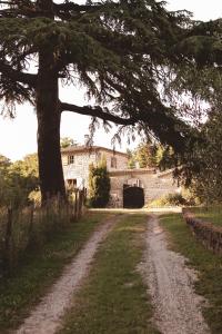 a dirt road with a large tree in front of a building at Mediterranean Suite in Ardèche in Saint-Georges-les-Bains