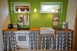 a kitchen with a sink and a green wall at Ferienhaus Kastaniengrün in Worpswede