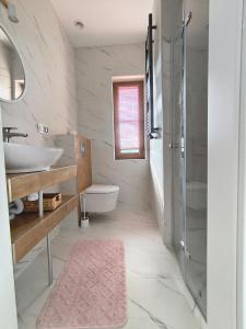 a bathroom with a sink and a toilet and a shower at Villa Terra in Nałęczów