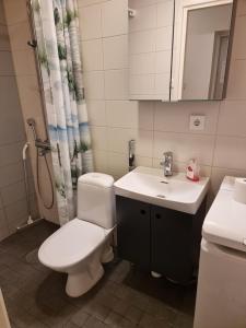 Koupelna v ubytování Studio Porin Karhu, home away home in Pori city center, free parking + 5 fotografií