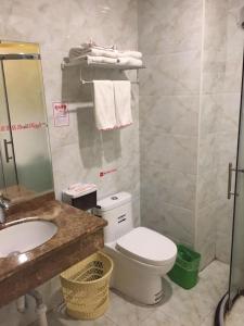 a bathroom with a toilet and a sink and a mirror at Shell Qionghai Jinhai Road Hotel in Qionghai