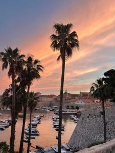 a group of palm trees and boats in a harbor at Apartment by CITY WALLS perfect for 2 in Dubrovnik