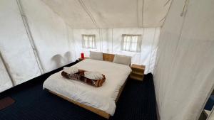 Gallery image of De Reeva Camp in Hundar