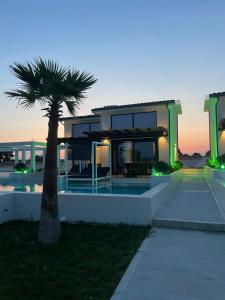 a house with a palm tree in front of it at Villa Palma in in Kallithea Halkidikis