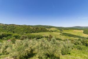 a view of a green hill with trees and bushes at Romantic Apartment In Chianti Classico - Happy Rentals in Castelnuovo Berardenga