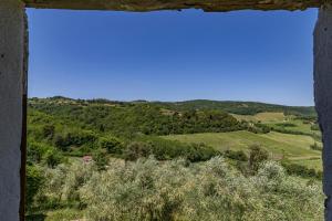a view from a window of a field and trees at Romantic Apartment In Chianti Classico - Happy Rentals in Castelnuovo Berardenga +18 photos